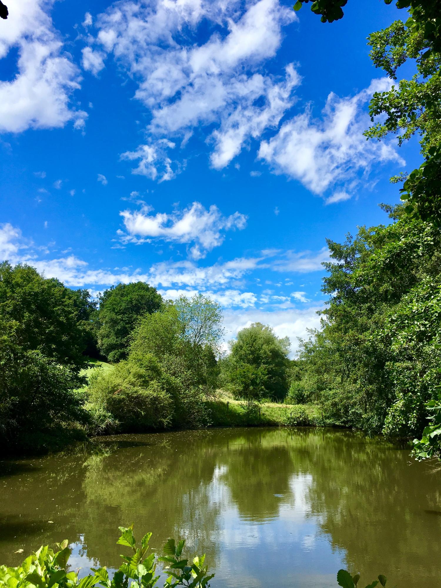 Schlösslesmühle im Siebenmühlental GALERIE